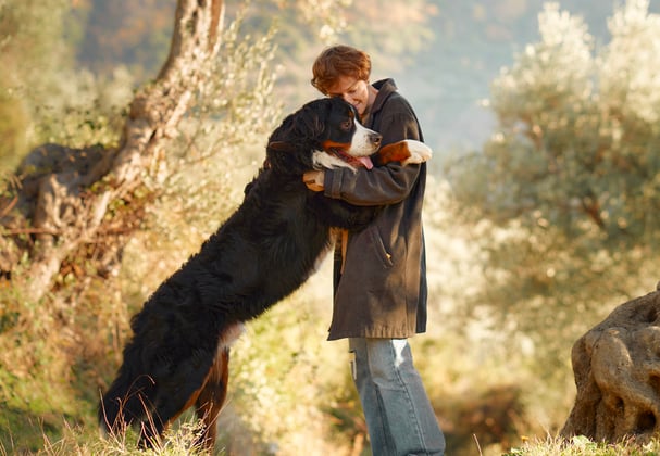 A person stood hugging their Bernese Mountain Dog.