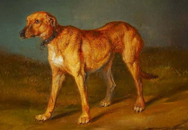 A Rhodesian Ridgeback painting.