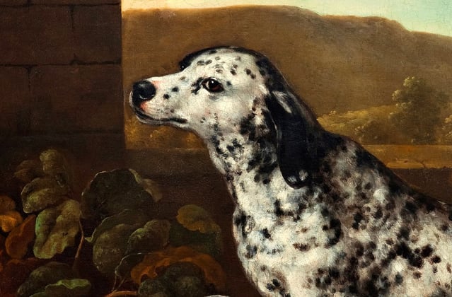 Historic painting of a Dalmatian