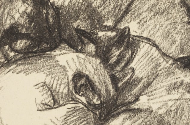 An old sketch of cats cuddling together.