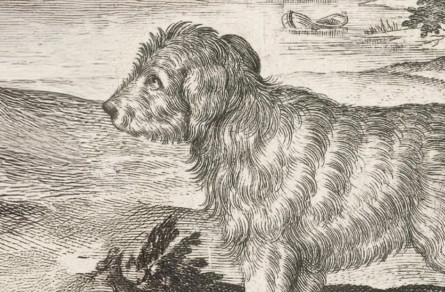 A historic drawing of an early goldendoodle.