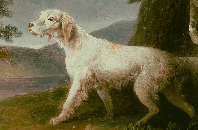 A historic painting of a golden retriever.
