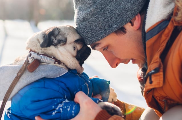 Pug wearing coat with head pressed to owner's forehead who is wearing a beanie and orange coat