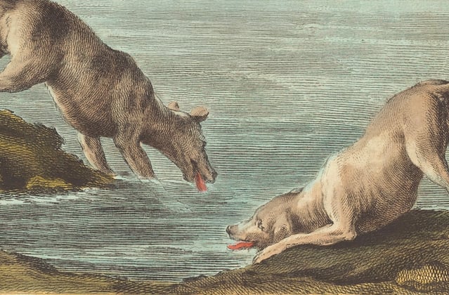 A historic painting of a weimaraner.
