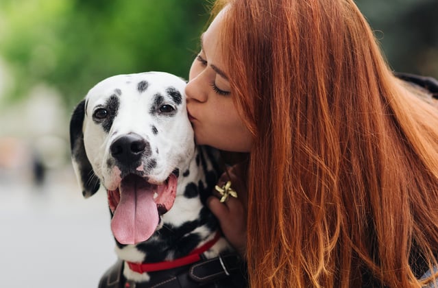 Owner kissing Dalmatian on the street