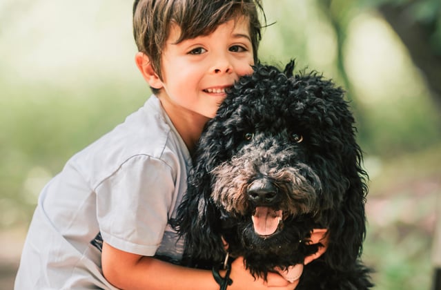 A young boy hugging a black goldendoodle.