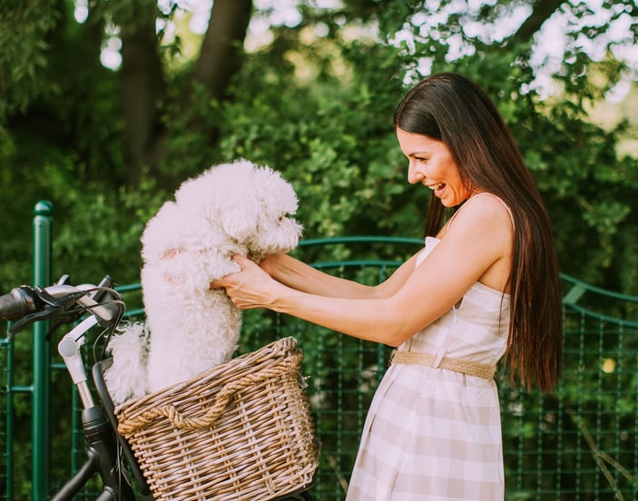 A woman holding her Bichon Frise up in a bicycle basket.