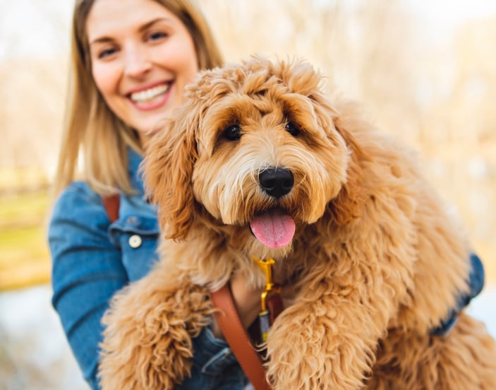Labradoodle being held by owner in front of a lake