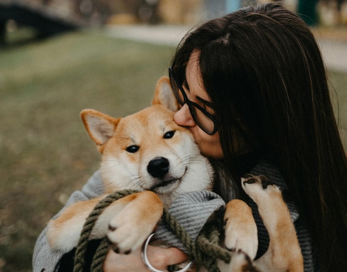 A shiba is being held closely by a woman