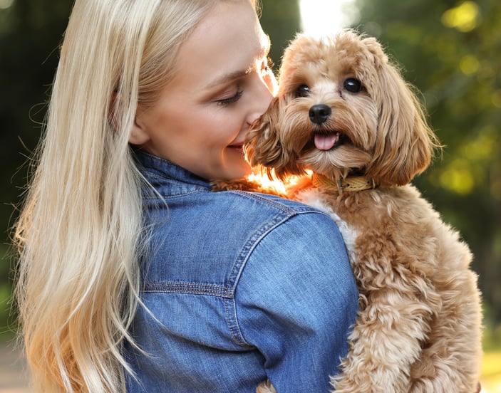 A blonde-haired woman holding a cream Cavapoo.