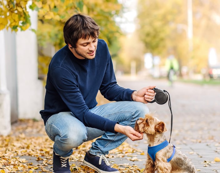 A man stroking his Yorkie's chin.