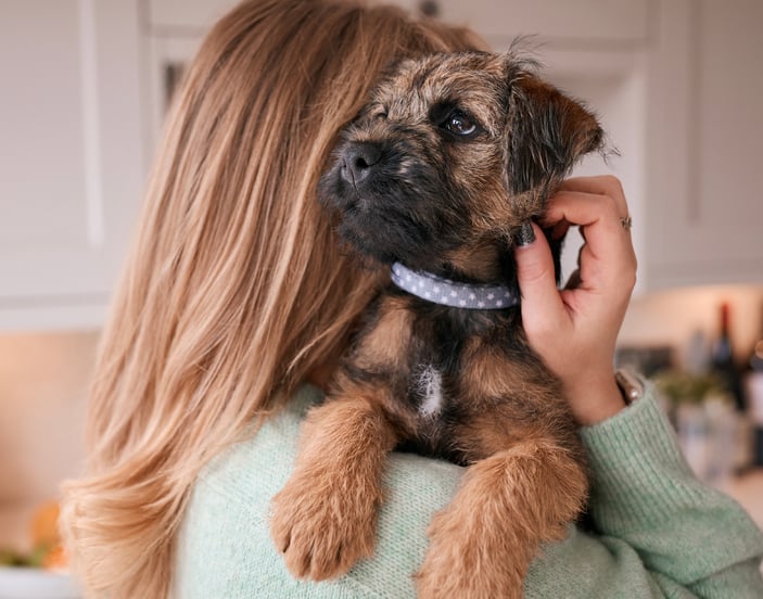 A woman with her border terrier over her shoulder.