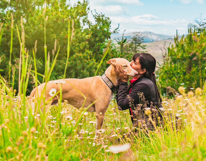 A woman kissing her Greyhound.