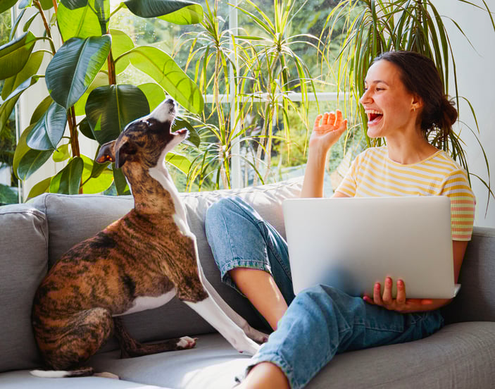A woman and her Whippet laughing together on a couch.