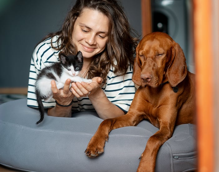 A woman sits on a floor cushion with a black-and-white kitten and a Vizsla dog.