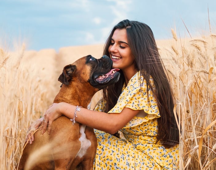A woman and her boxer in a corn field.