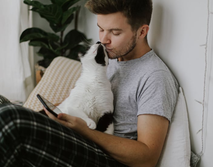A person using a mobile phone while holding their cat in their lap. The cat is rubbing against their face.