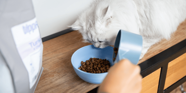 a white cat eating out of a blue bowl of kibble whilst their owner pours more in. a grey bag of tippaws food is at the left of the frame.