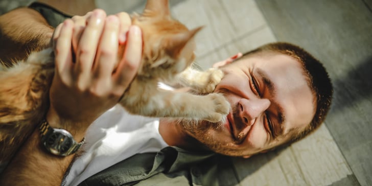 A man holding a ginger kitten by his face.