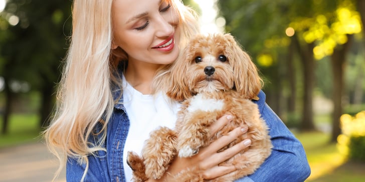 A blonde woman holding a Cavapoo.