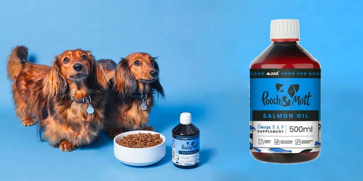 2 dachshunds pooch and mutt salmon oil promo image