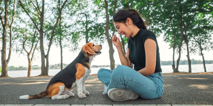 A woman and her Beagle are sitting on the ground near a lake doing command training together.