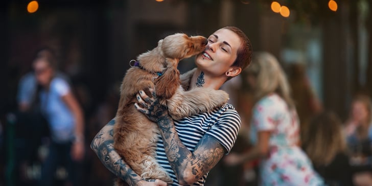 A spaniel puppy licking their owner's face.