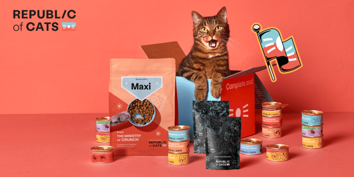 Republic of cats promo image
