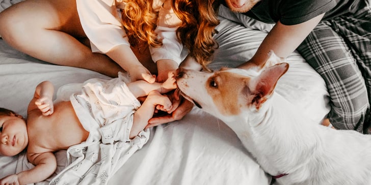 A baby, a dog and their parents on a bed.