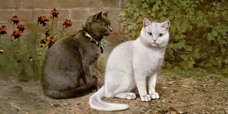 A historical painting of two british shorthair cats sitting near a brick wall and some flowers