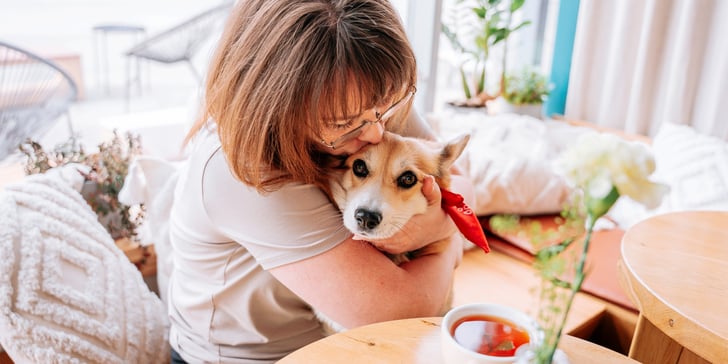 Dog being hugged by owner