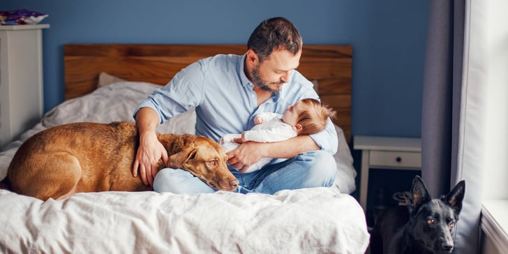 A man sitting on a bed with a dog and a baby.