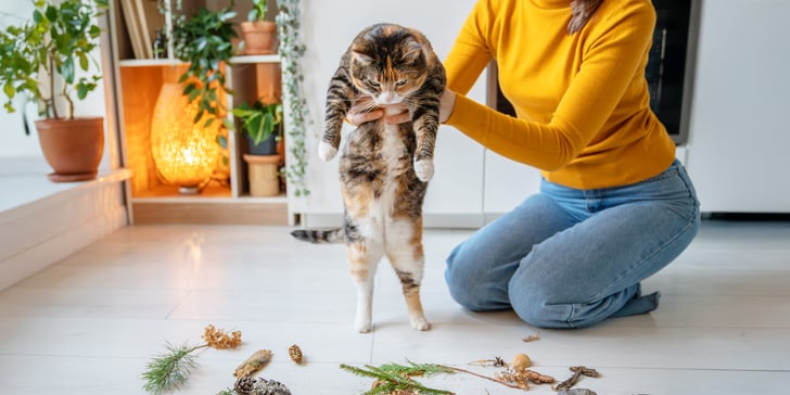 A woman holding a cat above toys.