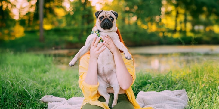 pug being held under the arms by owner sitting in park by a pond