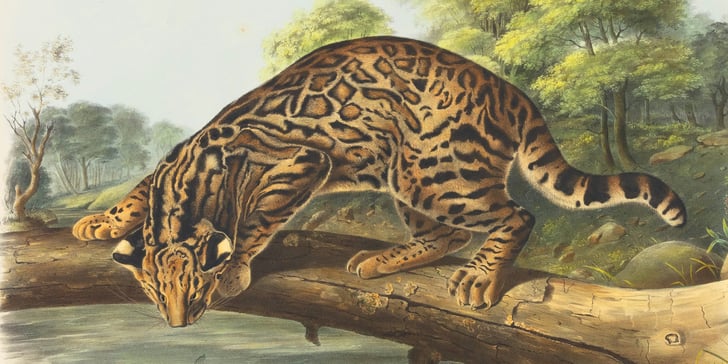 Painting of a Bengal cat on a tree branch