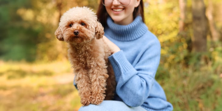 A woman sitting with a maltipoo on her knee.