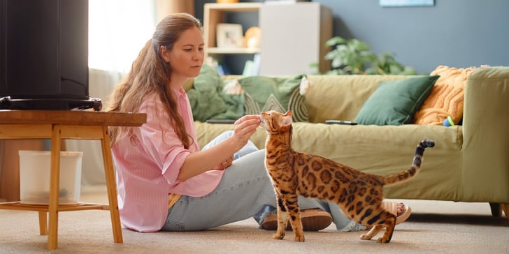A woman sitting in her living room, feeding her Bengal cat a treat.