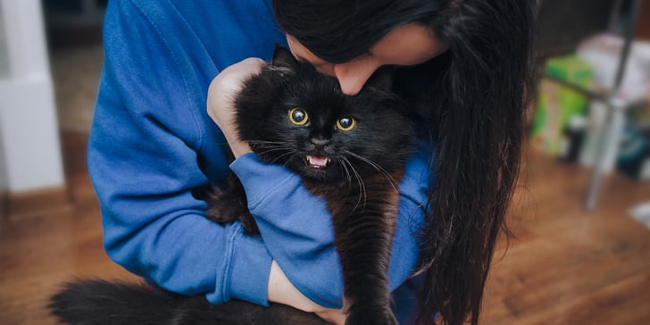 a woman in a blue jumper hugging a black fluffy cat