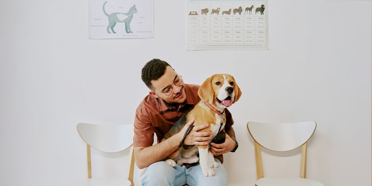 A man and his beagle sat in a vet surgery.