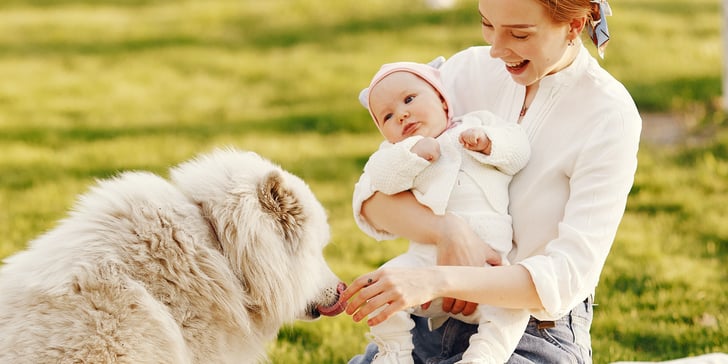 A woman and a baby greeting a dog.