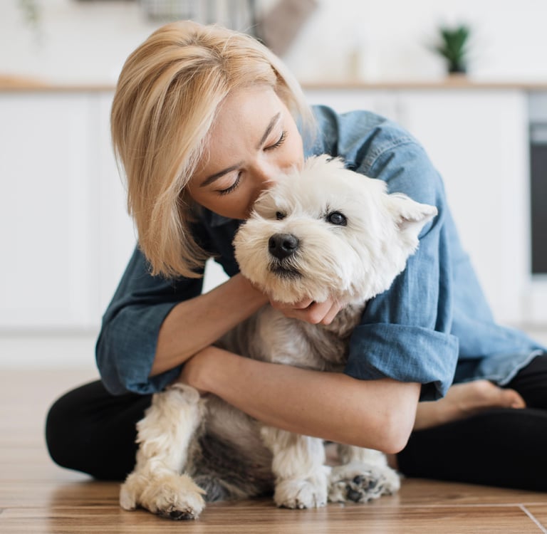 Wst Highland Terrier being kissed by owner