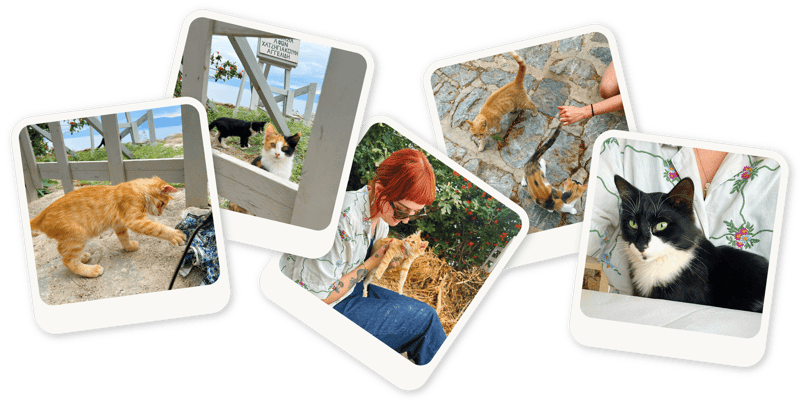 A collage of Stevie's own photos of the Hydra island.