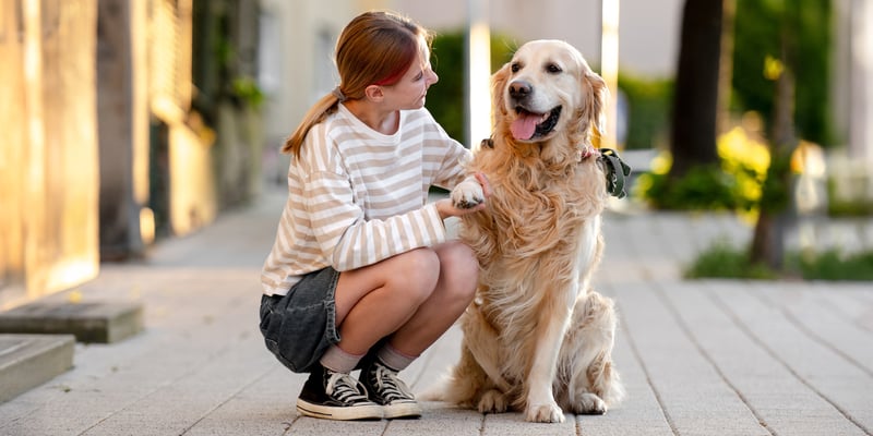 A girl crouched down next to a golden retriever.