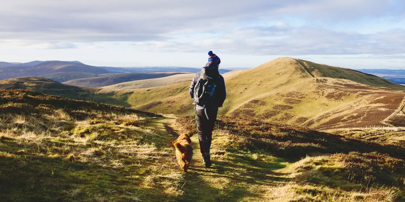 An owner and their dog hiking in the outdoors.