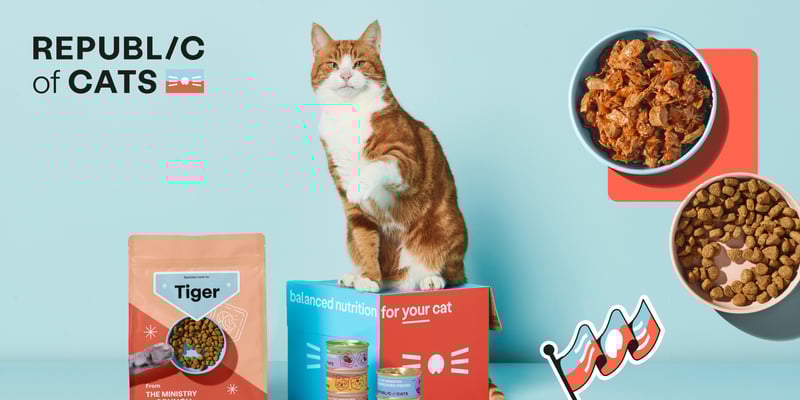another promo image for republic of cats