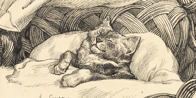 an old painting of a cat in a basket