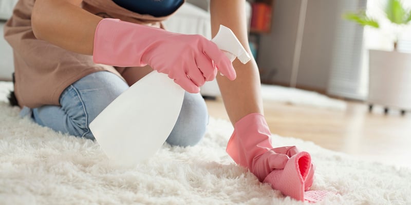 Person spraying carpet wearing pink rubber gloves