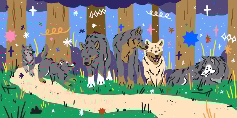 A pack of wolves and their pups.