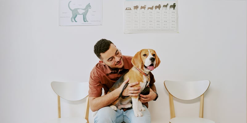A man and his beagle sat in a vet surgery.