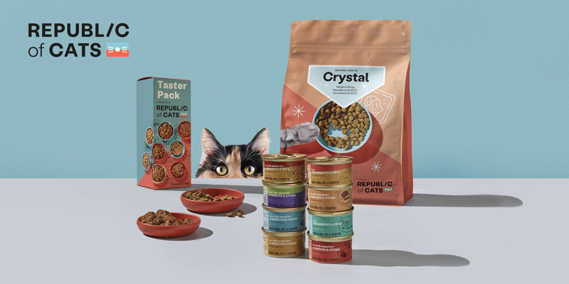 another promo image for republic of cats